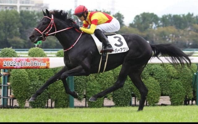 【新馬/阪神4R】リオンディーズ産駒 スーパーアグリがデビューV