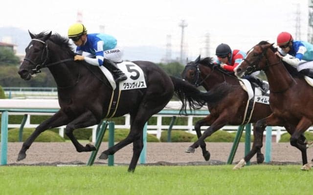 【新馬/阪神5R】大魔神所有 グランヴィノスがデビューV