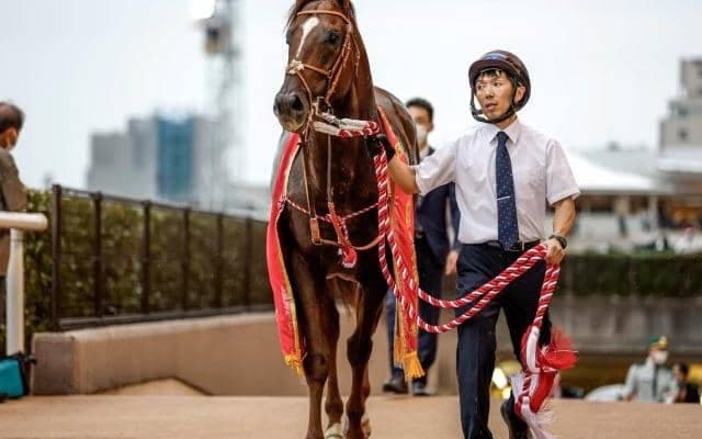 成長力に秀でた血統 サリオスが2年ぶりの勝ち星