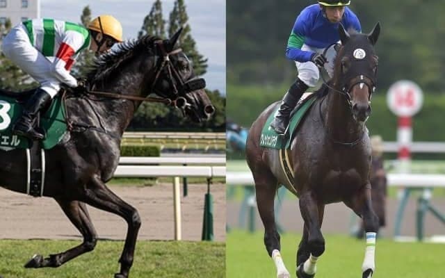 福島巧者の古豪や昨年のエリザベス女王杯3着馬、シャフリヤールの全兄らがJRA登録を抹消