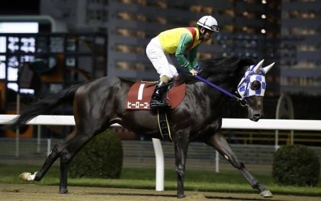 デビュー無敗のスペシャルエックスと川崎3連勝中のヒーローコールが激突/川崎・鎌倉記念注目馬