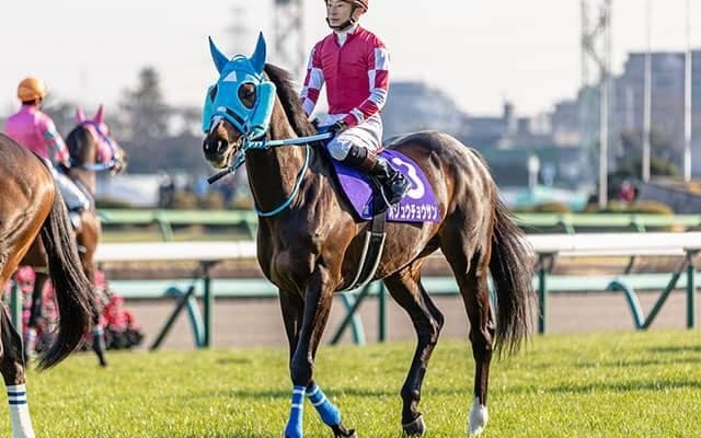 【東京ハイジャンプ想定騎手】オジュウチョウサンは石神深一騎手、ホッコーメヴィウスは黒岩悠騎手