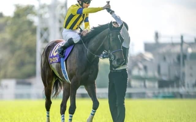 【秋華賞予想オッズ】二冠馬スターズオンアースが予想1番人気