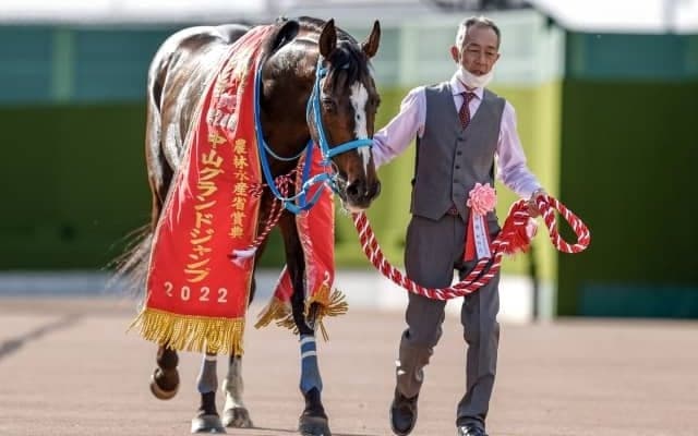 【東京ハイジャンプ予想オッズ】JGI・9勝馬オジュウチョウサンが予想1番人気