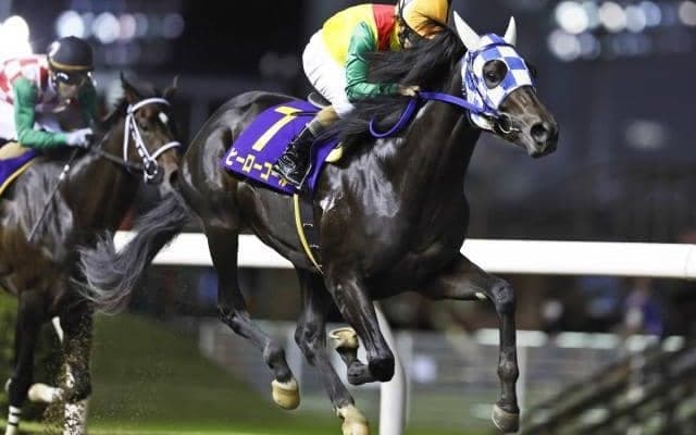 【川崎・鎌倉記念結果】浦和のヒーローコールが人気に応えて4連勝