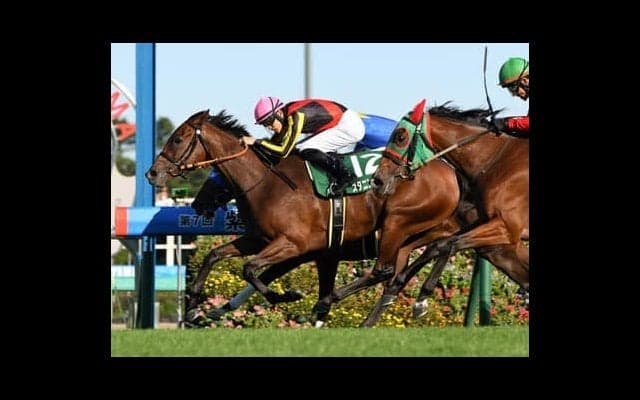 秋華賞はキングカメハメハのラストクロップを狙う。注目度の低いディープインパクト産駒も面白い存在