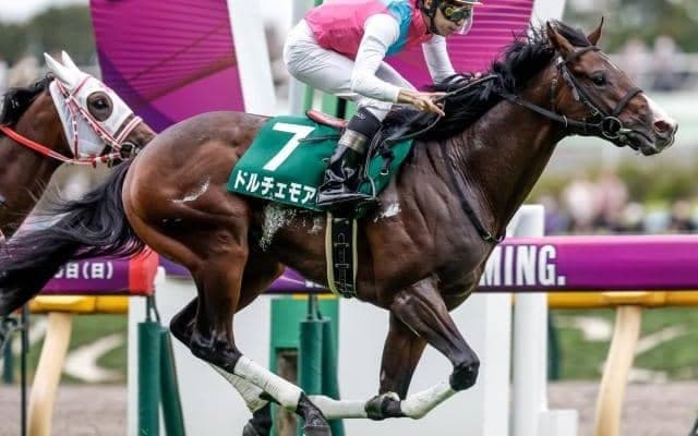 【次走】ドルチェモアは朝日杯FSへ ルーラーシップ産駒5年ぶりのGI制覇なるか