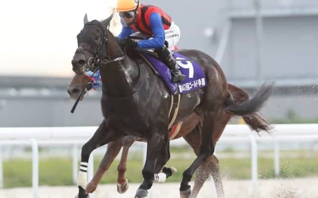 【名古屋・ゴールド争覇結果】川崎のベストマッチョが押し切って久々のV