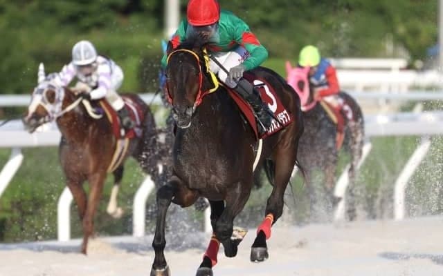 【園田・兵庫若駒賞結果】ベラジオソノダラブが元返しの単勝人気に応えて無傷3連勝