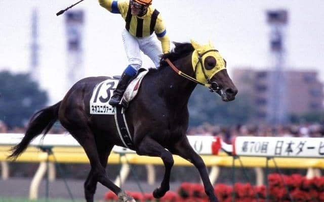 ネオユニヴァースのダービー優勝時の鞍が出品！ ノーザンホースパークチャリティオークションが「ヤフオク！」で開催