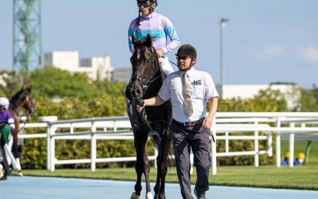 ナムラクレアはシルクロードSから始動 来年見据え今年は休養へ