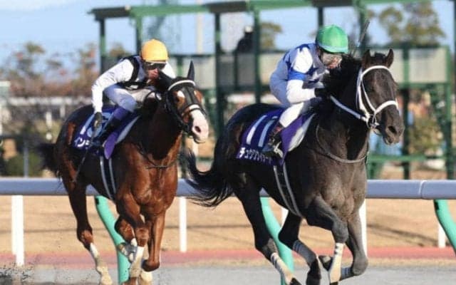 チュウワウィザードが競走馬登録抹消