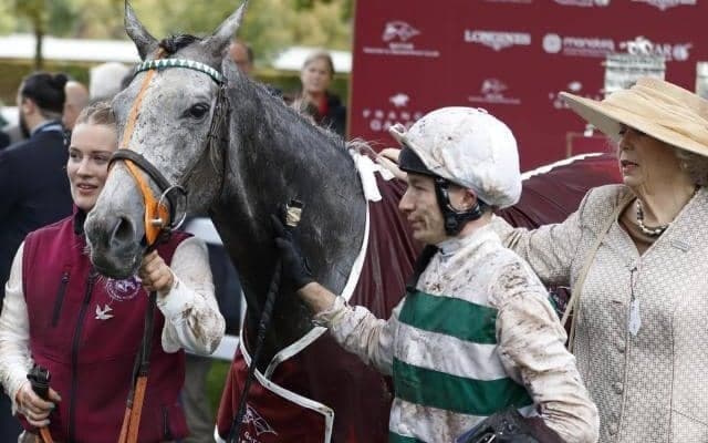 年内引退のアルピニスタはジャパンC参戦に意欲 将来的にはディープインパクト産駒との交配も