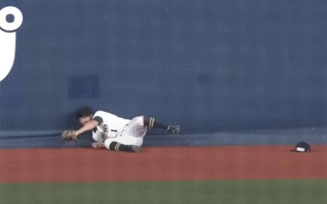 「これ絶対怖いやつだ」　激突恐れぬ超絶美技は「フェンス見てないくらいの気迫」