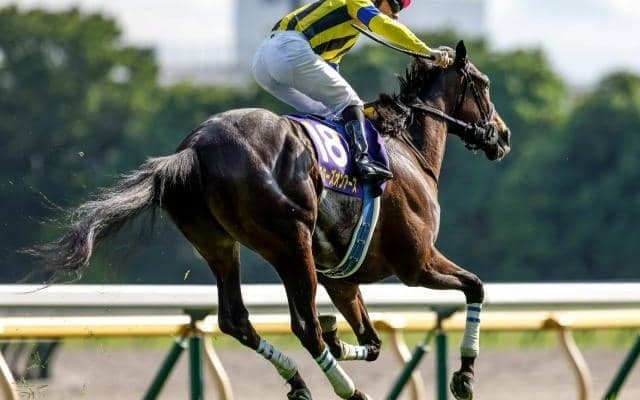 【秋華賞枠順確定】スターズオンアースは5枠9番、スタニングローズは4枠7番