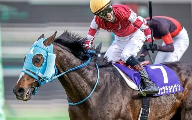 【東京ハイジャンプ枠順確定】オジュウチョウサンは6枠8番、ホッコーメヴィウスは8枠12番