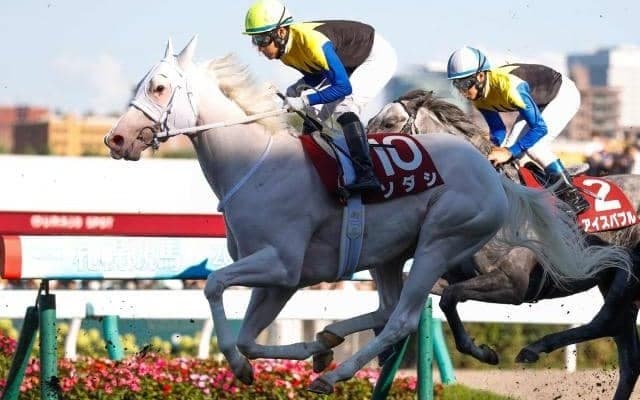 【府中牝馬S枠順確定】ソダシは2枠2番、アンドヴァラナウトは1枠1番