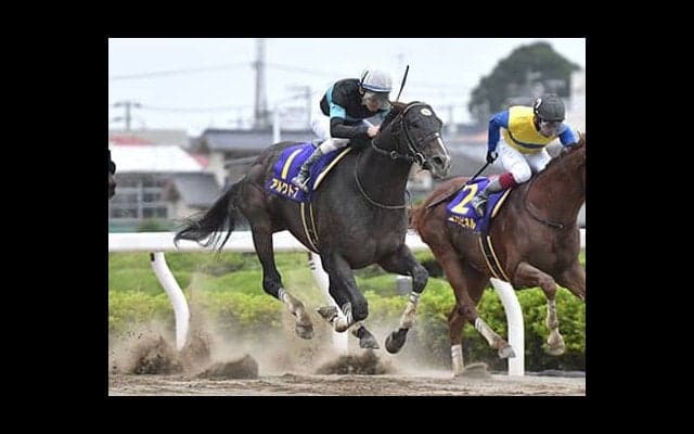 アルクトスが競走馬登録抹消