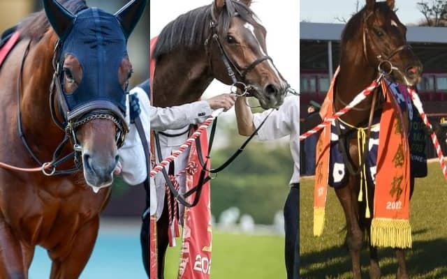 3歳マイル王者が始動 秋のマイル王者狙う快速馬18頭が富士Sに参戦予定