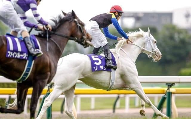 【今日の注目ポイント】府中牝馬Sでソダシが秋初戦、阪神でダノンスコーピオン全弟デビューなど