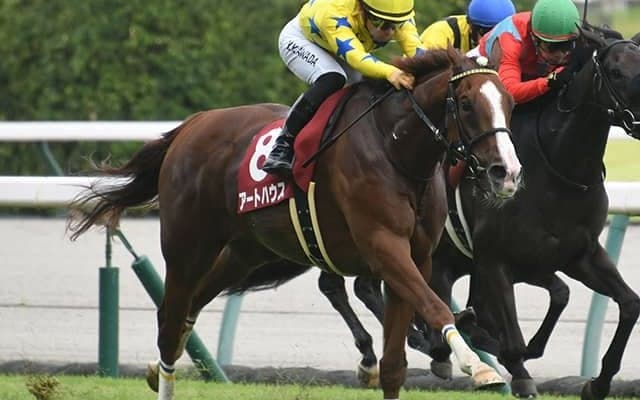 【秋華賞予想】オークスの内容が明暗を分ける!? 前走快勝も疑問符のつく馬とは