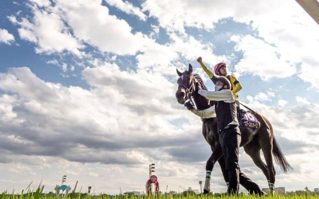 【秋華賞前日オッズ】二冠馬スターズオンアースが3.3倍で1番人気、3頭が5倍を切る混戦模様