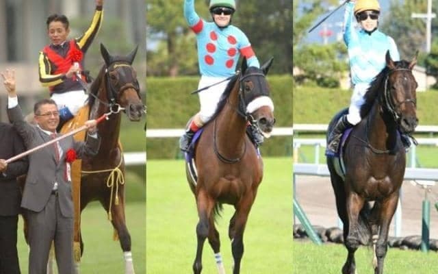 【秋華賞】競馬ファン3万人が選んだ思い出の三冠牝馬は？ 1位は史上初の偉業を成し遂げたあの馬！