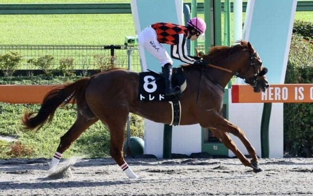 【プラタナス賞】断然人気のトレドが7馬身差圧勝
