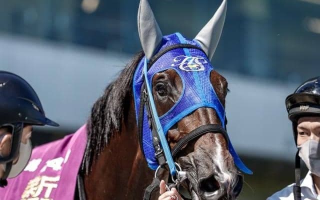 【東京HJ予想】障害界の絶対王者が始動 オジュウチョウサンに待ったをかける馬は現れるか