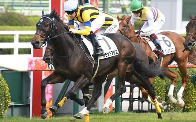 【阪神5R新馬戦結果】良血馬ルモンドブリエが間を割って抜け出す