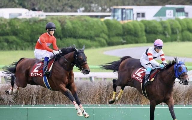 【東京ハイジャンプ】ゼノヴァースが障害重賞初制覇！オジュウチョウサンは敗れる