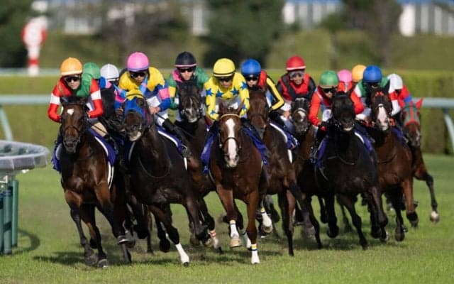 G1・1番人気馬またしても勝てず…三冠のかかったスターズオンアース敗れる