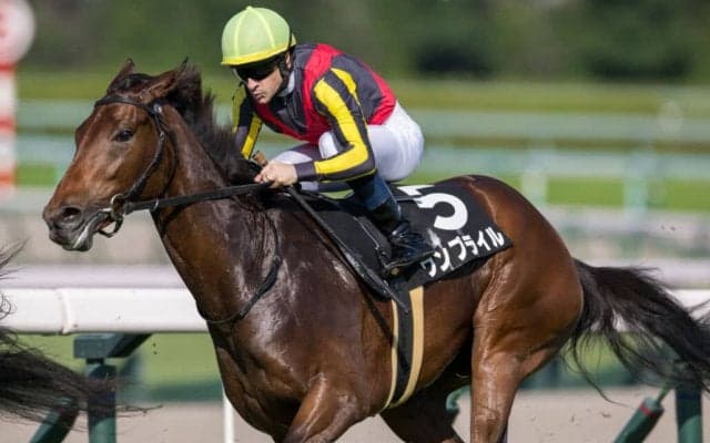 【もみじS】断然人気 ウンブライルが圧勝