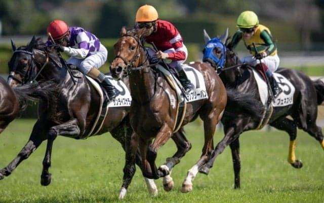 【阪神3R】武豊 ランフリーバンクスが初勝利