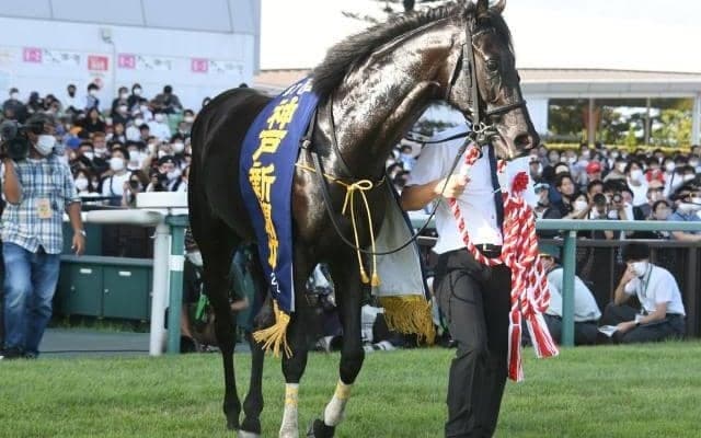 混戦模様のクラシック最終戦・菊花賞、マイルCS前哨戦の富士S/今週の競馬界の見どころ
