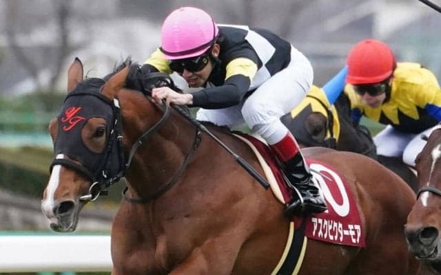 【菊花賞登録馬】アスクビクターモアなど23頭