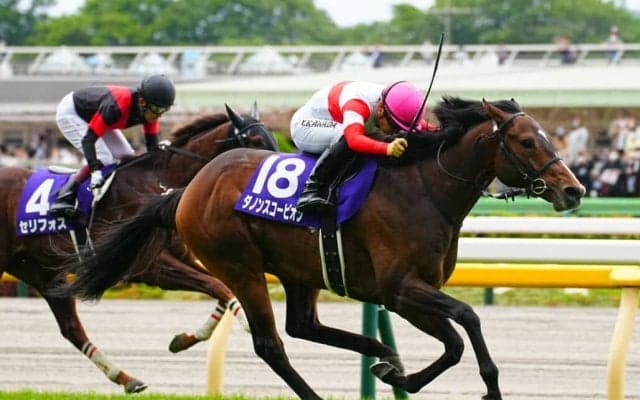 【富士S登録馬】ダノンスコーピオンなど17頭