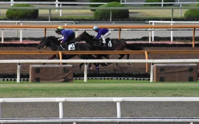 サトノダイヤモンド産駒の1億円馬 サトノグランツがデビュー/関西馬メイクデビュー情報