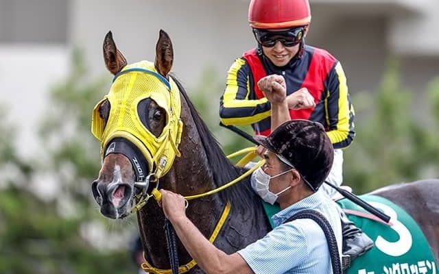 【AI予想・菊花賞】あの「伝説の新馬戦」から再びGI馬が誕生!? クラシック上位馬不在の大混戦を制するのは…