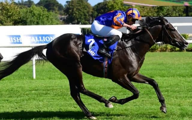 愛国のディープインパクト産駒が現地22日にG1挑戦 母はG1を3勝した名牝