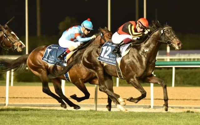 シャフリヤールが120ポンドで第1位 天皇賞・秋特別登録馬のレーティング一覧