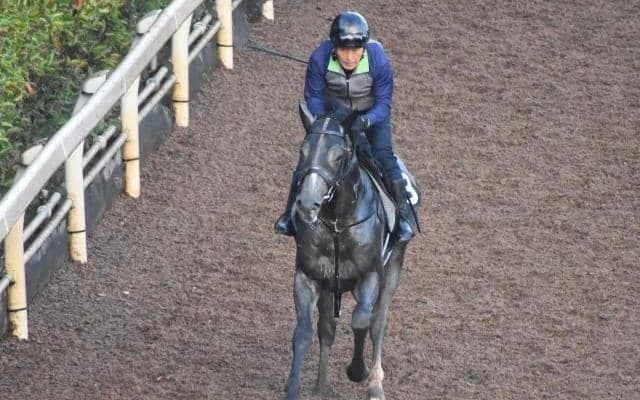 ダズリングブレイヴなど、先週の入厩情報/栗東トレセンニュース