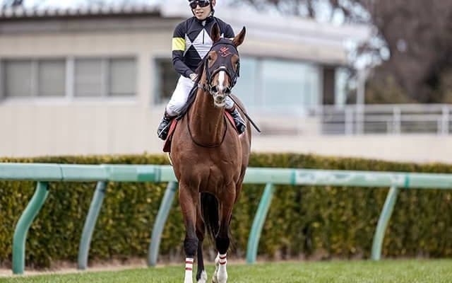 1億8700万円馬が菊花賞に堂々登場 ドウデュースに初黒星をつけた走りでGI制覇へ