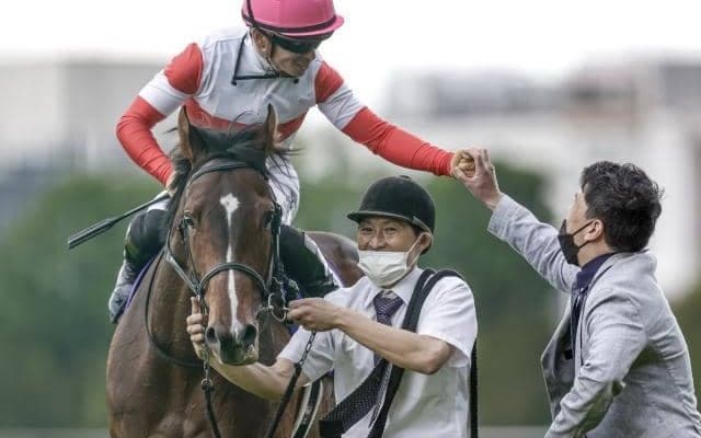 【富士S予想オッズ】ダノンスコーピオンが予想1番人気