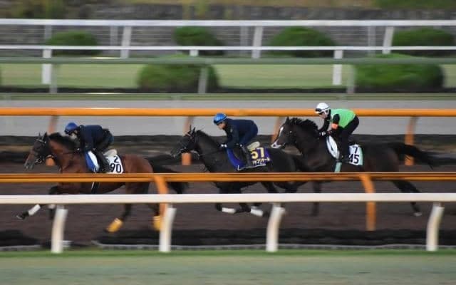 シャフリヤール、天皇賞(秋)1週前追い切り速報/栗東トレセンニュース