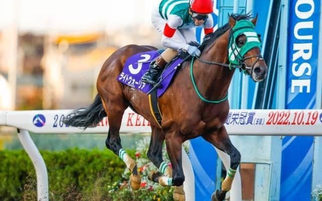 【浦和・埼玉新聞栄冠賞結果】ライトウォーリアが逃げ切って重賞初V