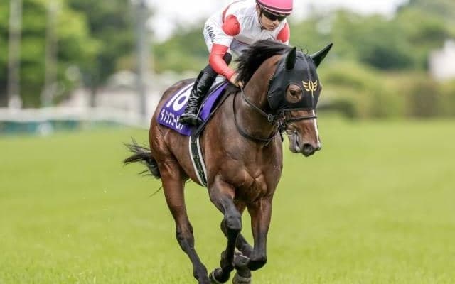 香港マイルに日本馬27頭が登録 3歳マイル王、ダートGI・3勝馬、安田記念覇者など
