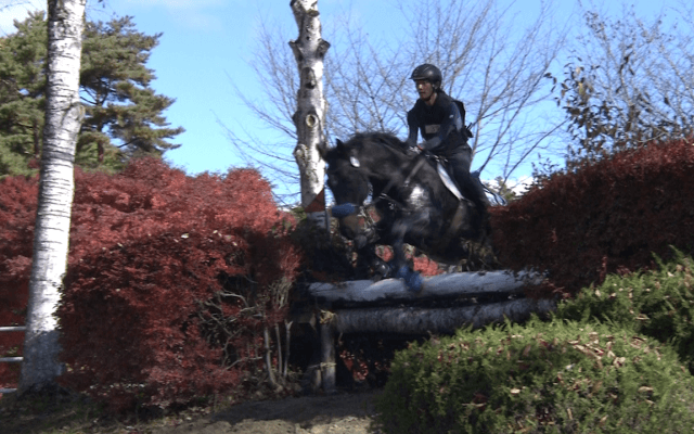全日本学生馬術大会 3日目総合馬術【見逃し配信】