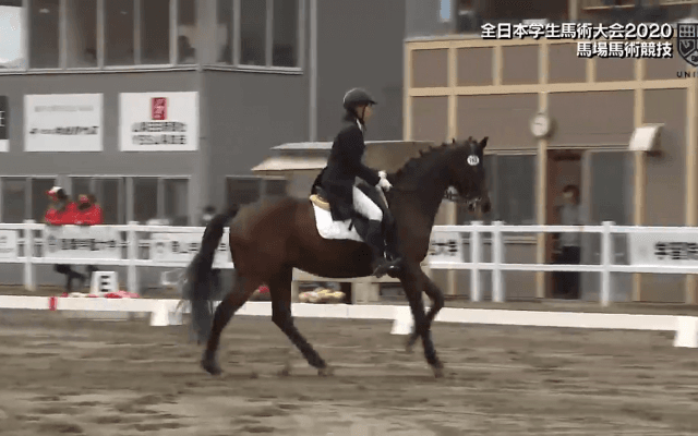 全日本学生馬術大会 2日目馬場馬術【見逃し配信】