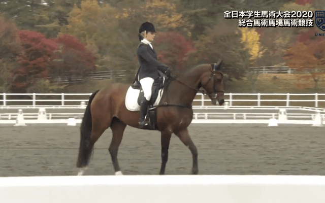 全日本学生馬術大会 2日目総合馬場馬術【見逃し配信】